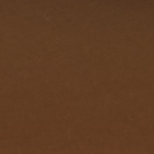 Saltwater? 1 Eye Duck Shoe - Image 7