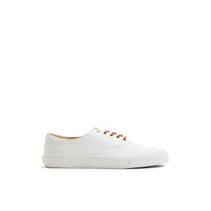 Gold Cup? CVO Sneaker